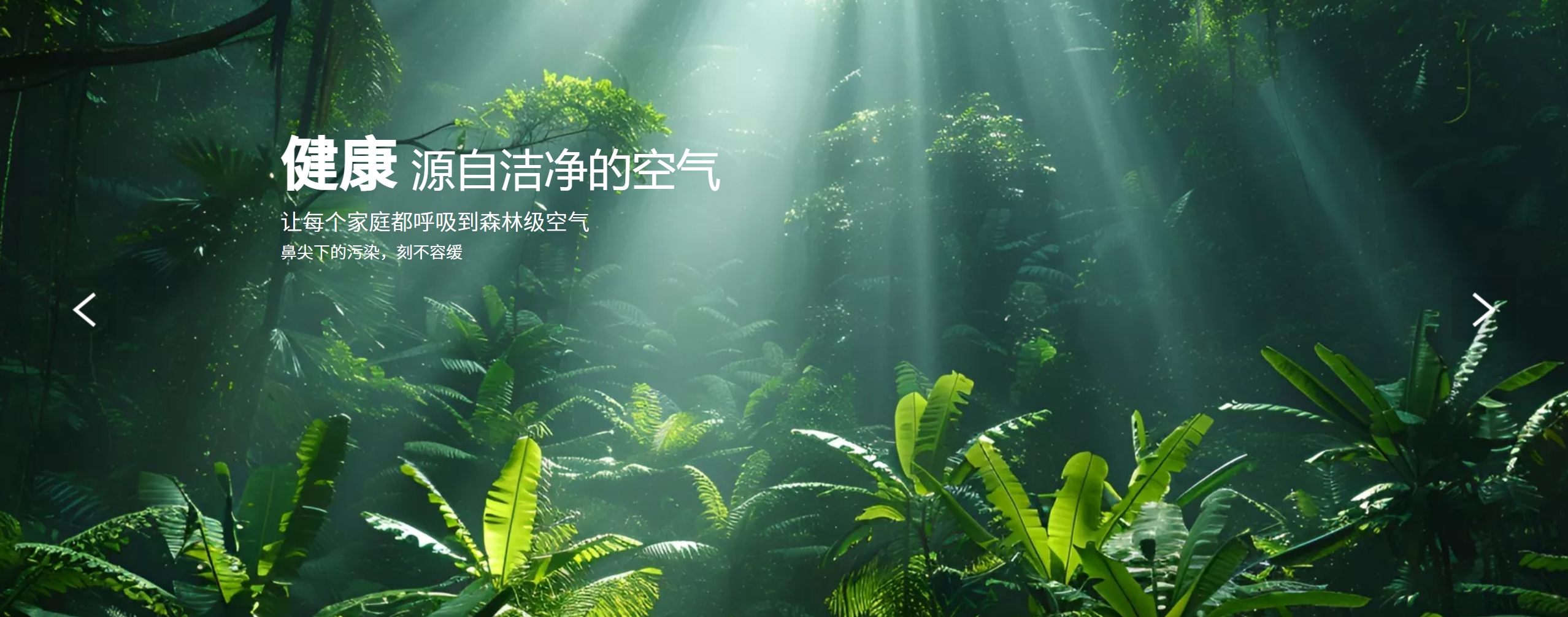 空气净化解决方案